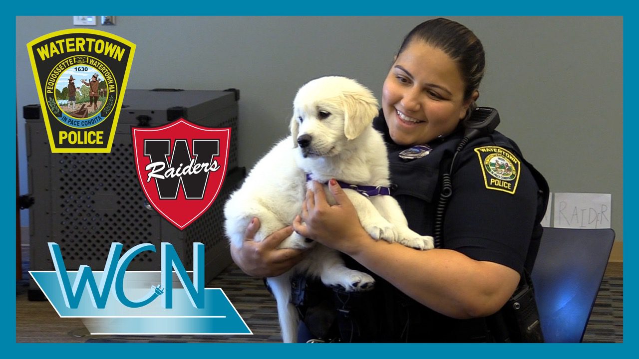 Meet Raider, the Watertown Police Department’s First Comfort Dog