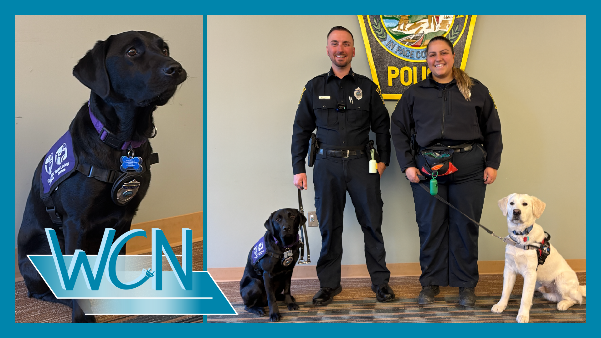 Watertown Police Department Expands Support Services with Facility Dog Wyatt