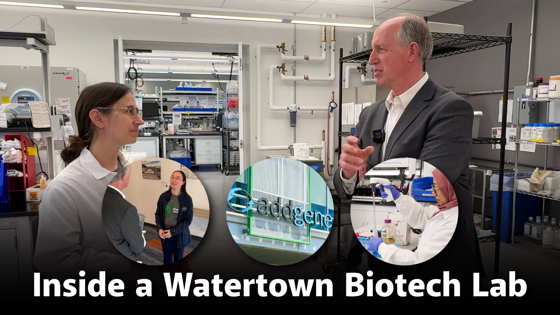 Inside Addgene: The Watertown Nonprofit Powering Breakthroughs in Biotech
